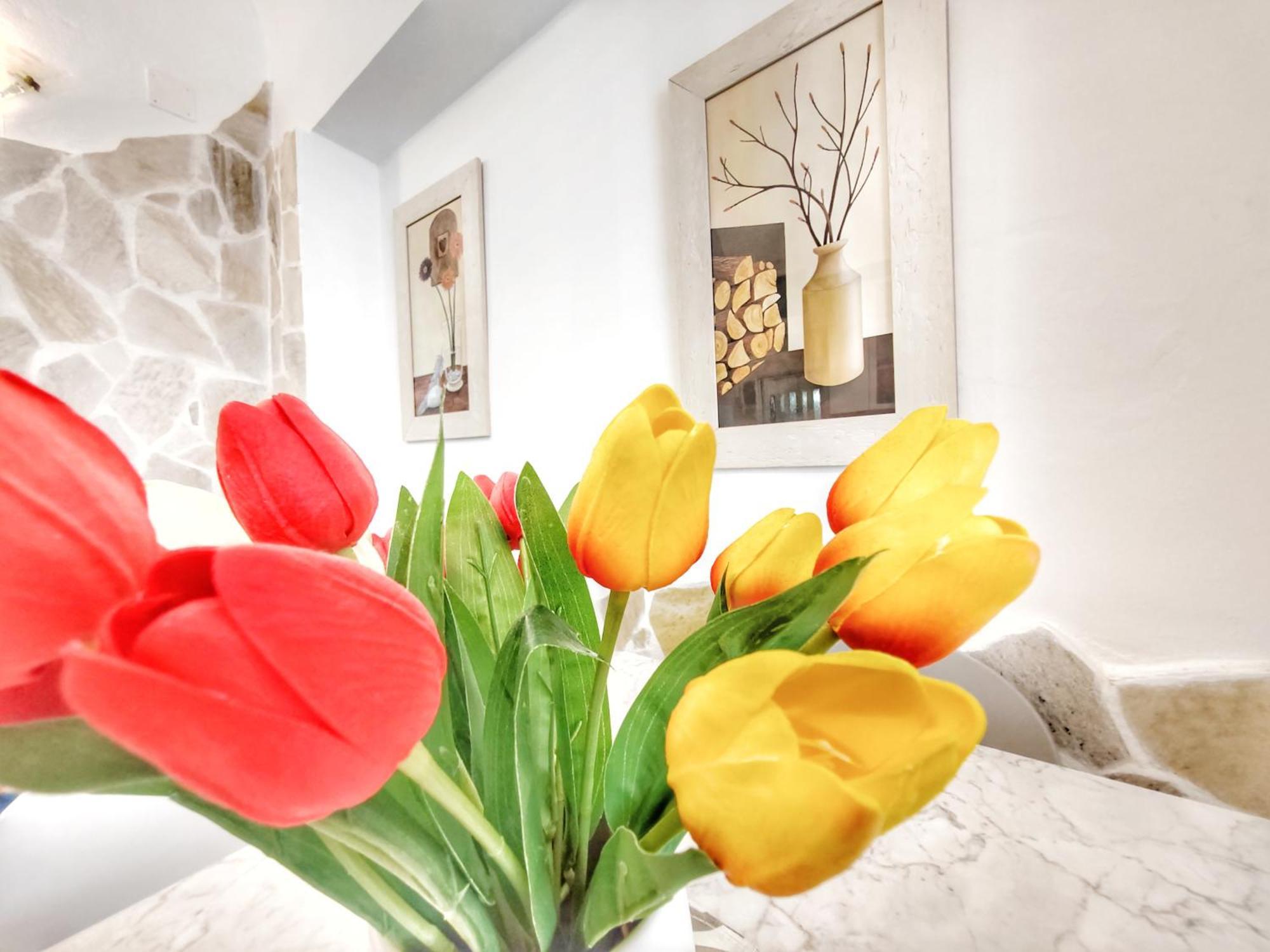 Apartment San Domenico House